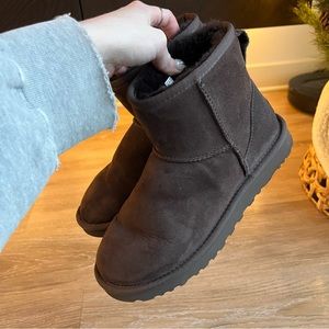 Mini Classic Uggs - Burnt Cedar